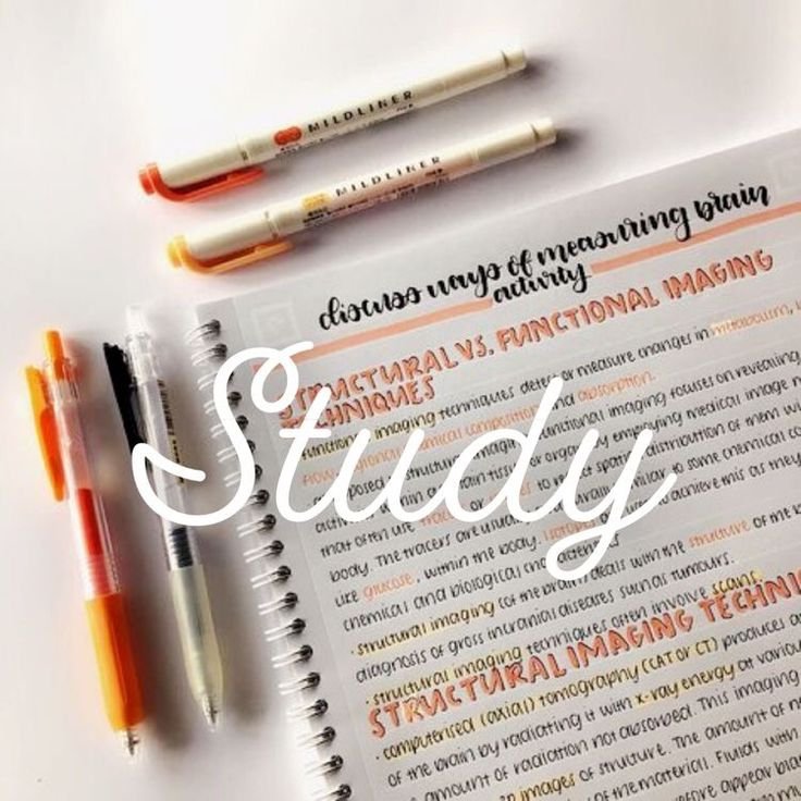EASY STUDY NOTES TN SAMACHEER