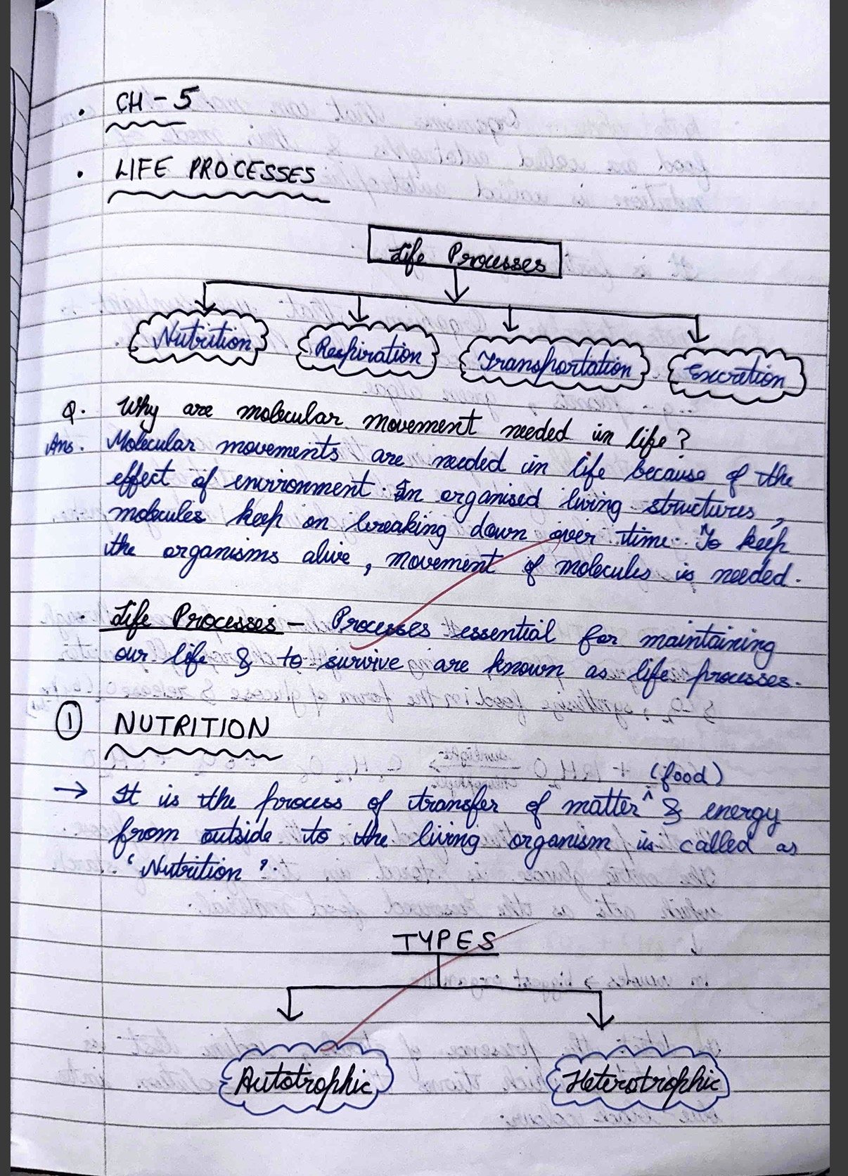 Class 10 - Life Processes